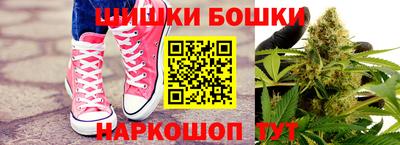 СК Обь