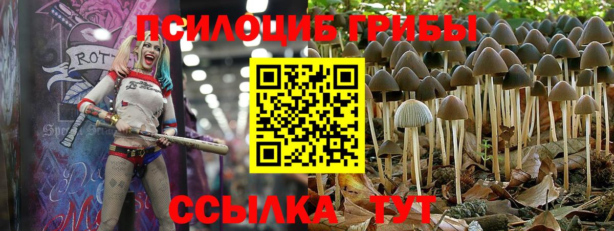 Галлюциногенные грибы мухоморы Урай